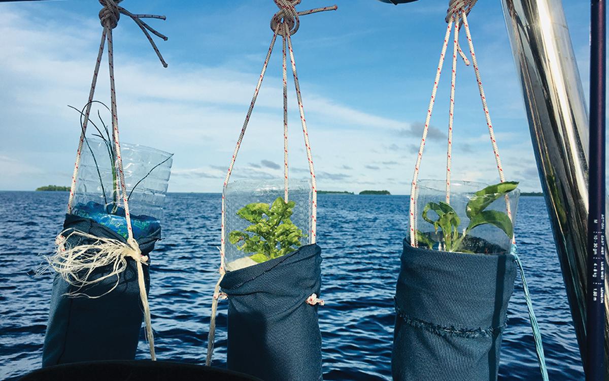 growing-food-on-boats-hanging-pots-credit-Clearwater-Sally