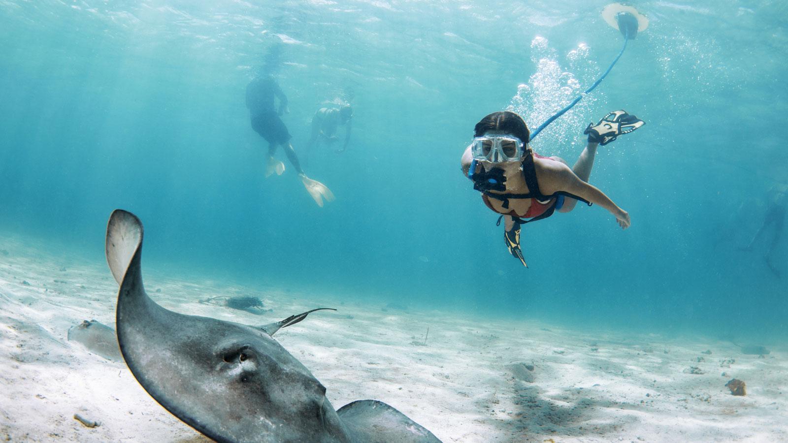 Ein Bild, das Vogel, Wasser, draußen, schwimmend enthält.

Automatisch generierte Beschreibung